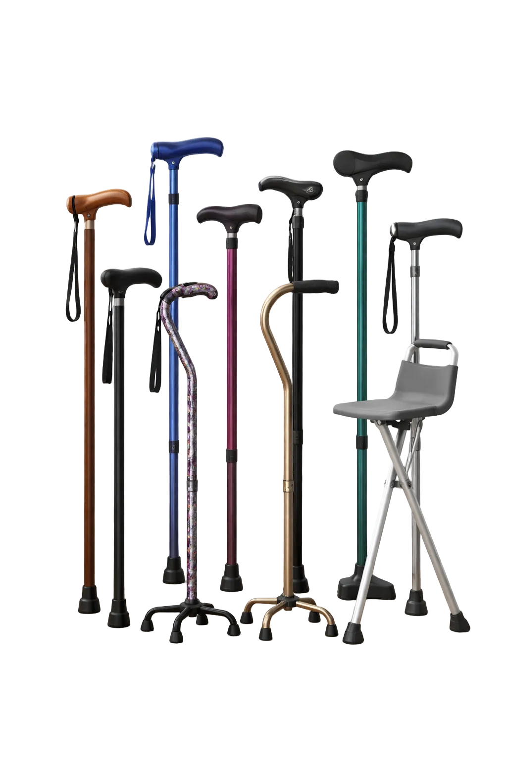 Canes Rental